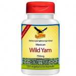 Mexican Wild Yam