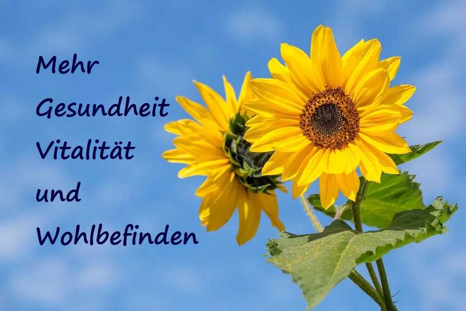 Willkommen in unserem Webshop